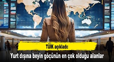TÜİK açıkladı: Yurt dışına beyin göçünün en çok olduğu alanlar