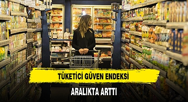 TÜKETİCİ GÜVEN ENDEKSİ ARALIKTA ARTTI