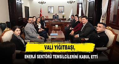 Vali Yiğitbaşı, Enerji Sektörü Temsilcilerini Kabul Etti