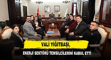 Vali Yiğitbaşı, Enerji Sektörü Temsilcilerini Kabul Etti