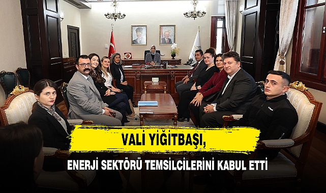 Vali Yiğitbaşı, Enerji Sektörü Temsilcilerini Kabul Etti