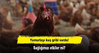 Yumurtayı kuş gribi vurdu! Sağlığımızı etkiler mi?