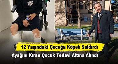 12 Yaşındaki Çocuğa Köpek Saldırdı