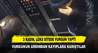 3 Kadın, Lüks Sitede Vurgun Yaptı