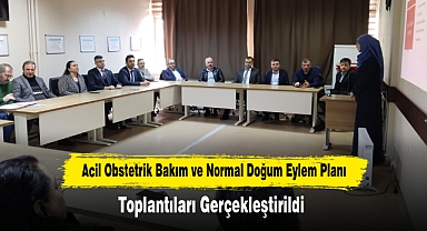 Acil Obstetrik Bakım ve Normal Doğum Eylem Planı Toplantıları Gerçekleştirildi