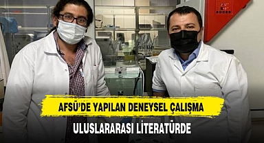 AFSÜ'DE YAPILAN DENEYSEL ÇALIŞMA ULUSLARARASI LİTERATÜRDE