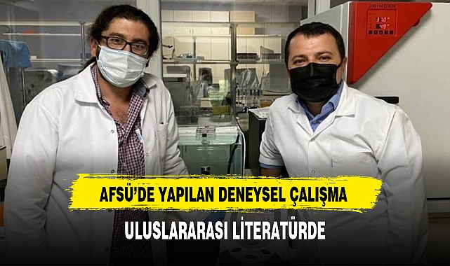 AFSÜ'DE YAPILAN DENEYSEL ÇALIŞMA ULUSLARARASI LİTERATÜRDE
