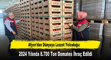 Afyon'dan Dünyaya Lezzet Yolculuğu: 2024 Yılında 8.700 Ton Domates İhraç Edildi