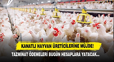 Afyon Kanatlı Hayvan Üreticilerine Müjde Özkaya’dan Geldi!