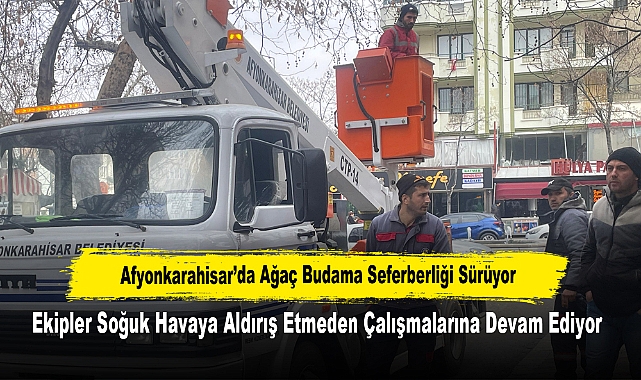 Afyonkarahisar’da Ağaç Budama Seferberliği Sürüyor: Ekipler Soğuk Havaya Aldırış Etmeden Çalışmalarına Devam Ediyor