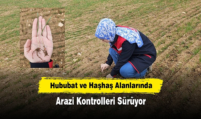 Afyonkarahisar’da Hububat ve Haşhaş Alanlarında Arazi Kontrolleri Sürüyor