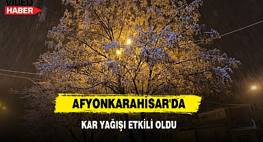 Afyonkarahisar'da Kar Yağışı Etkili Oldu