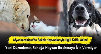 Afyonkarahisar’da Sokak Hayvanlarıyla İlgili Kritik Adım!  Yeni Düzenleme, Sokağa Hayvan Bırakmaya İzin Vermiyor