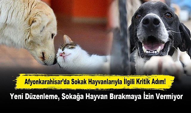 Afyonkarahisar’da Sokak Hayvanlarıyla İlgili Kritik Adım!  Yeni Düzenleme, Sokağa Hayvan Bırakmaya İzin Vermiyor