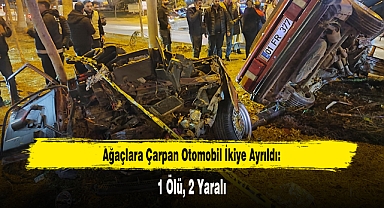 Ağaçlara Çarpan Otomobil İkiye Ayrıldı: 1 Ölü, 2 Yaralı