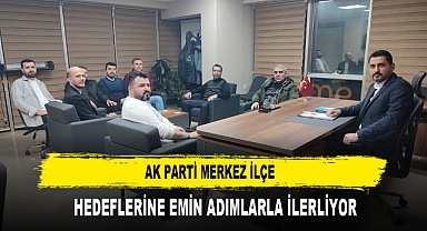 AK Parti Merkez İlçe Hedeflerine Emin Adımlarla İlerliyor