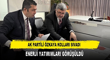 AK Partili Özkaya Kolları Sıvadı Enerji Yatırımları Görüşüldü