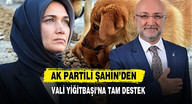 AK Partili Şahin’den Vali Yiğitbaşı’na Tam Destek