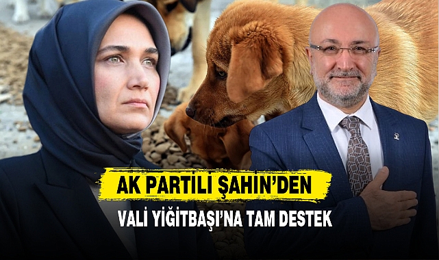 AK Partili Şahin’den Vali Yiğitbaşı’na Tam Destek