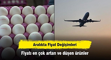 Aralıkta Fiyat Değişimleri: Fiyatı en çok artan ve düşen ürünler