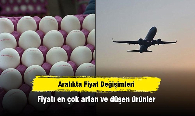 Aralıkta Fiyat Değişimleri: Fiyatı en çok artan ve düşen ürünler