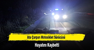 Ata Çarpan Motosiklet Sürücüsü Hayatını Kaybetti