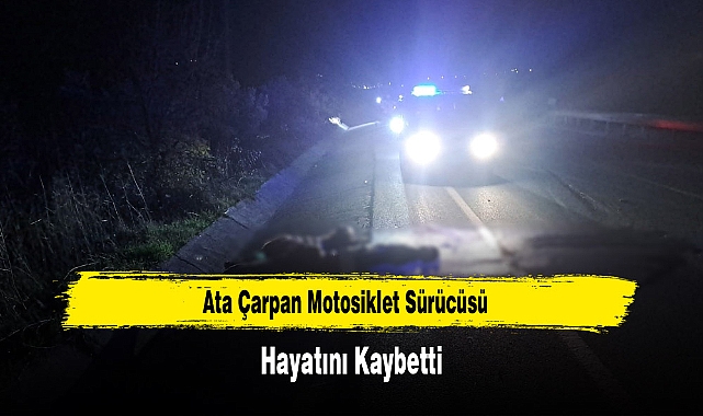 Ata Çarpan Motosiklet Sürücüsü Hayatını Kaybetti