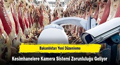 Bakanlıktan Yeni Düzenleme: Kesimhanelere Kamera Sistemi Zorunluluğu Geliyor