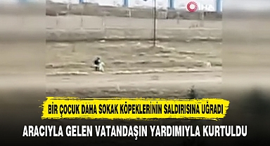 BİR ÇOCUK DAHA SOKAK KÖPEKLERİNİN SALDIRISINA UĞRADI