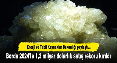 Borda 2024'te 1,3 milyar dolarlık satış rekoru kırıldı