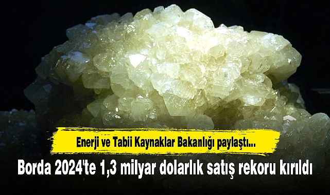 Borda 2024'te 1,3 milyar dolarlık satış rekoru kırıldı