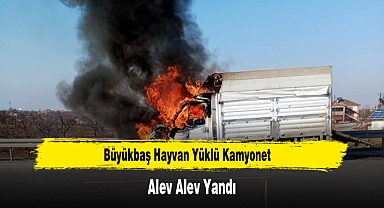 Büyükbaş Hayvan Yüklü Kamyonet Alev Alev Yandı