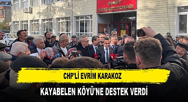 CHP'li Evrim Karakoz Kayabelen Köyü'ne Destek Verdi