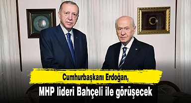 Cumhurbaşkanı Erdoğan MHP lideri Bahçeli ile görüşecek