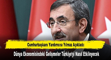 Dünya Ekonomisindeki Gelişmeler Türkiye'yi Nasıl Etkileyecek