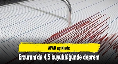 Erzurum'da 4,5 büyüklüğünde deprem