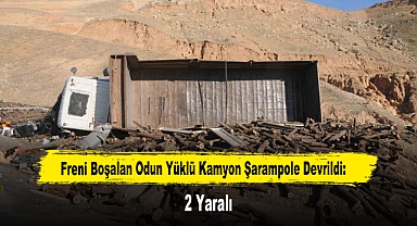 Freni Boşalan Odun Yüklü Kamyon Şarampole Devrildi: 2 Yaralı