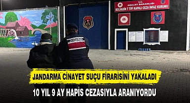JANDARMA CİNAYET SUÇU FİRARİSİNİ YAKALADI