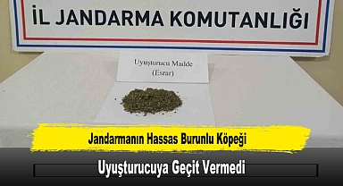 Jandarmanın Hassas Burunlu Köpeği Uyuşturucuya Geçit Vermedi
