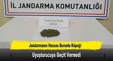 Jandarmanın Hassas Burunlu Köpeği Uyuşturucuya Geçit Vermedi