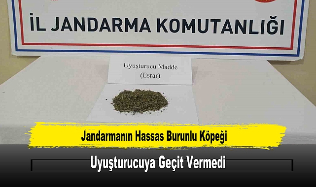 Jandarmanın Hassas Burunlu Köpeği Uyuşturucuya Geçit Vermedi