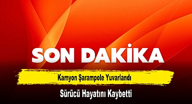Kamyon Şarampole Yuvarlandı, Sürücü Hayatını Kaybetti