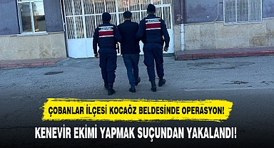 KENEVİR EKİMİ YAPMAK SUÇUNDAN YAKALANDI!
