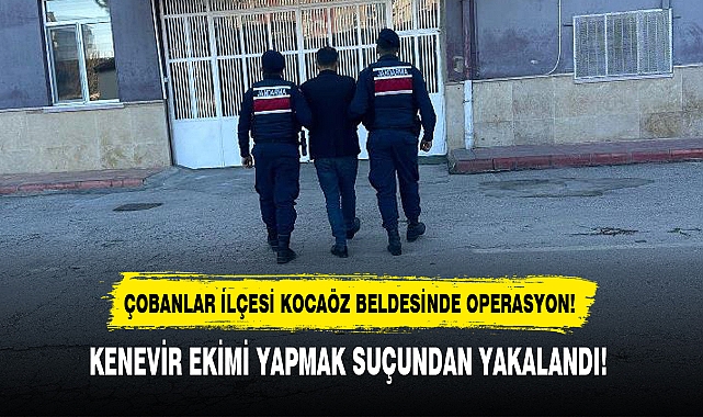 KENEVİR EKİMİ YAPMAK SUÇUNDAN YAKALANDI!
