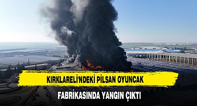 KIRKLARELİ'NDEKİ PİLSAN OYUNCAK FABRİKASINDA YANGIN ÇIKTI