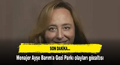 Menajer Ayşe Barım'a Gezi Parkı olayları gözaltısı