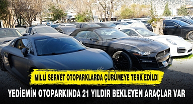 MİLLİ SERVET OTOPARKLARDA ÇÜRÜMEYE TERK EDİLDİ