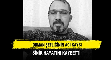 Orman Şefliğinin Acı Kaybı Sinir Hayatını Kaybetti