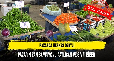 PAZARIN ZAM ŞAMPİYONU PATLICAN VE SİVRİ BİBER