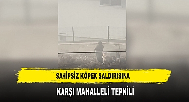 Sahipsiz Köpek Saldırısına Karşı Mahalleli Tepkili